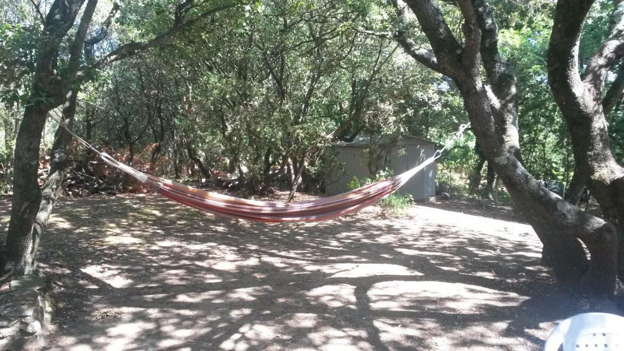 La Casita Villa Avec Piscine Pres D'Uzes Saint-Laurent-la-Vernède Eksteriør bilde